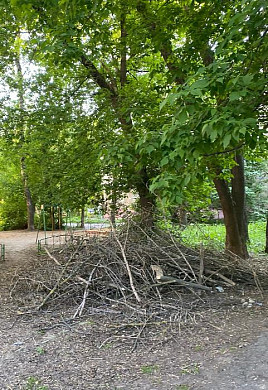 После кронирования деревьев никто не убрал срезанные ветки